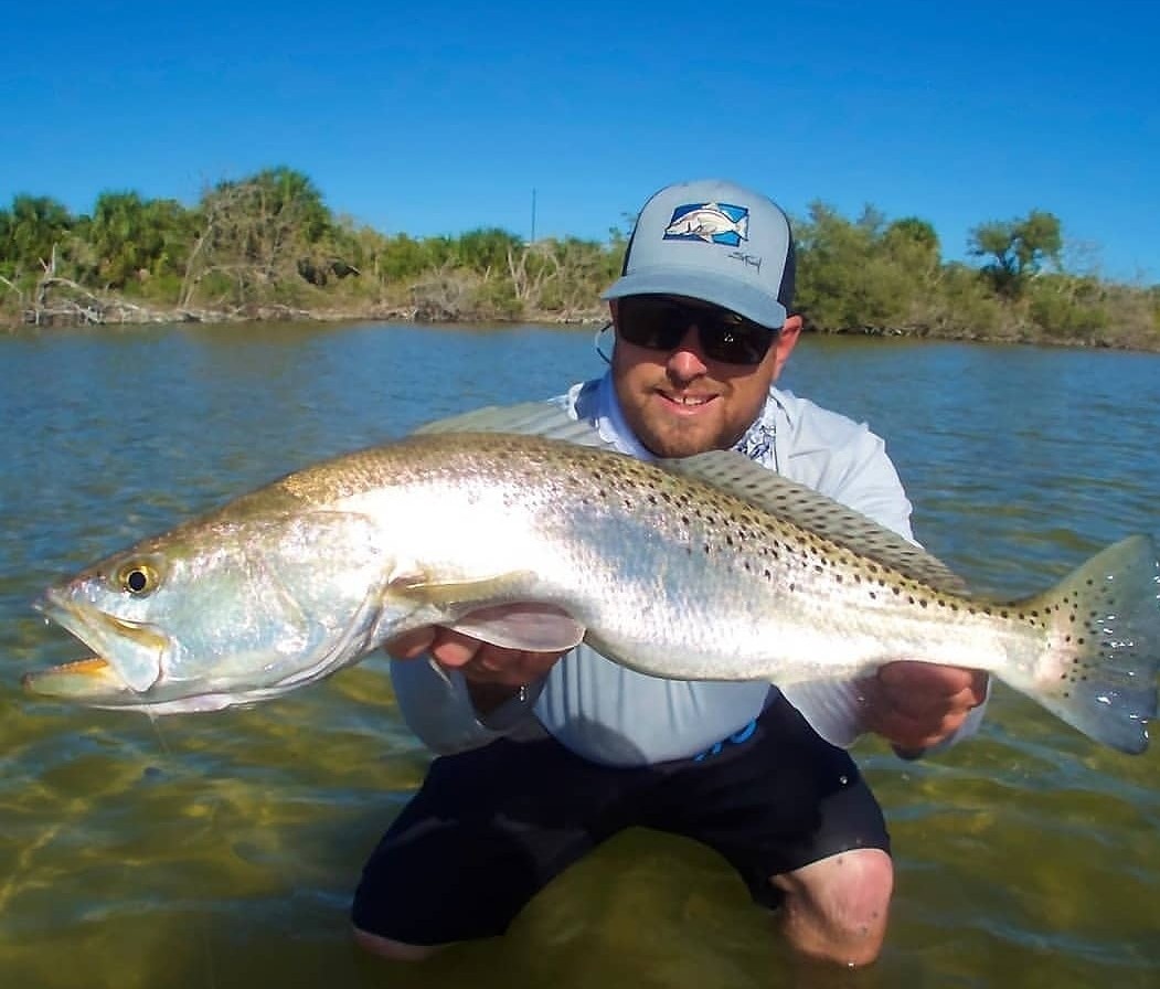  Slayer Inc Sinister Swim Tail (SST) - Golden Brim : Sports &  Outdoors